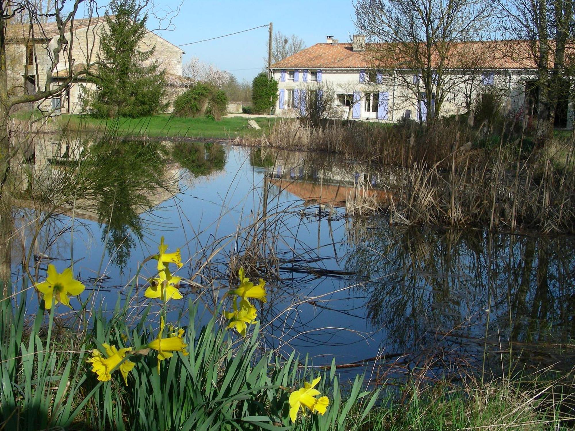 Chambres D'Hotes Entre Niort Et Marais Poitevin Bessines Exteriör bild
